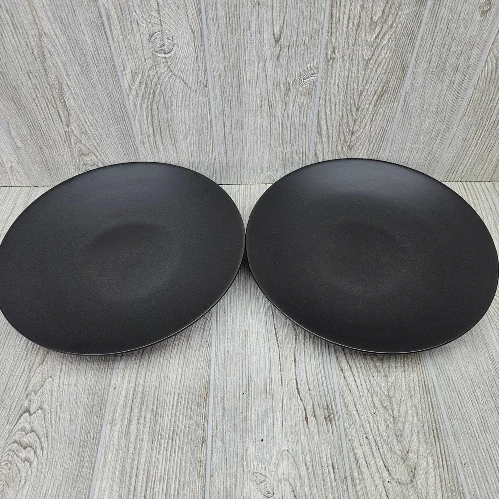 Furio Home Worldview Onyx Thailand Matte Black Large Dinner Plates Set of 2